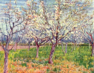 Verger en fleurs